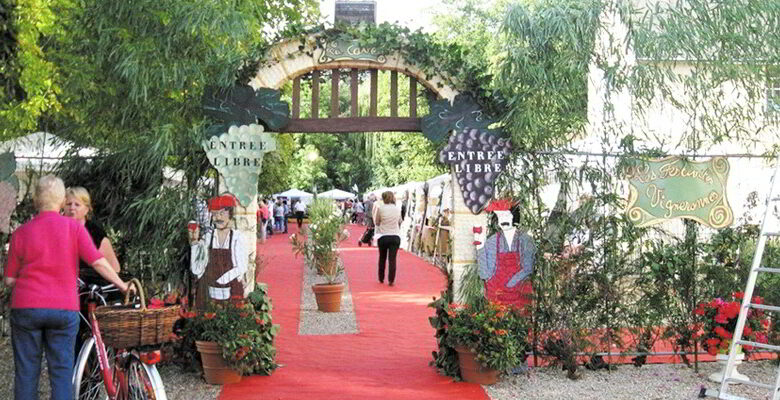 quatier Marescot ; Salon des vins et de la gastronomie ; Montoire