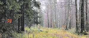 mois du film documentaire ; film documentaire ; Mois du doc