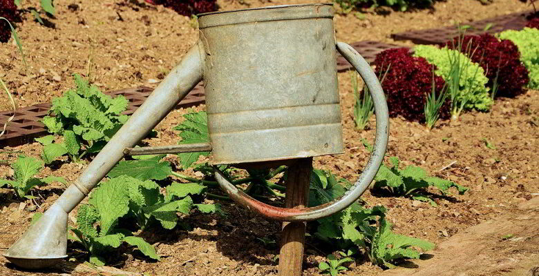 fête des arbres ; Morée