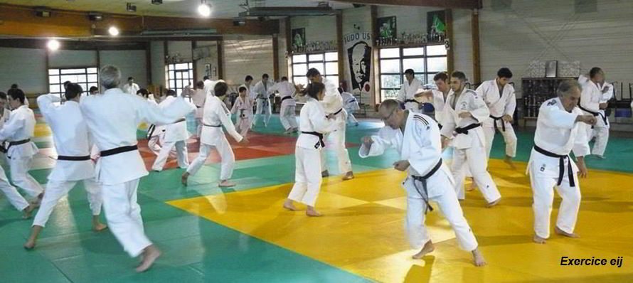 judo exercice eiji