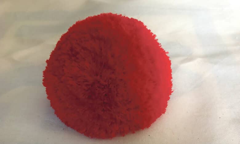 la chartre pompon1 avant