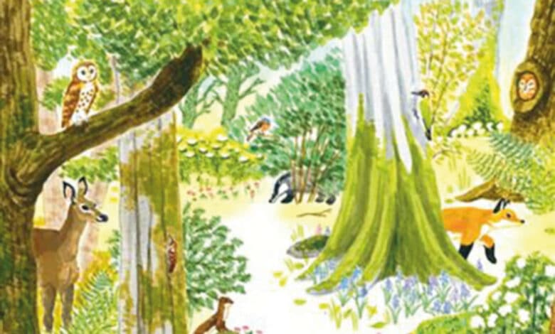 la saison des provisions 2