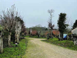 le chemin des trognes