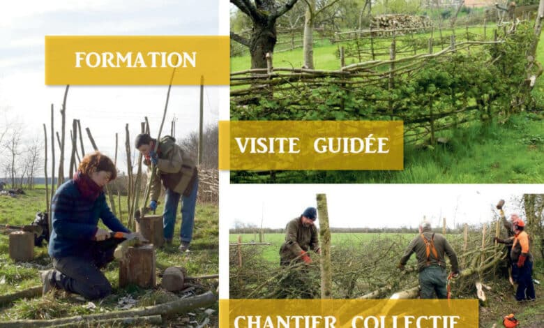 les jours plessage et trognes avant