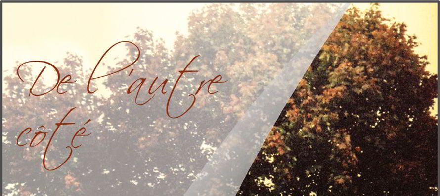 livre de l autre cote bandeau