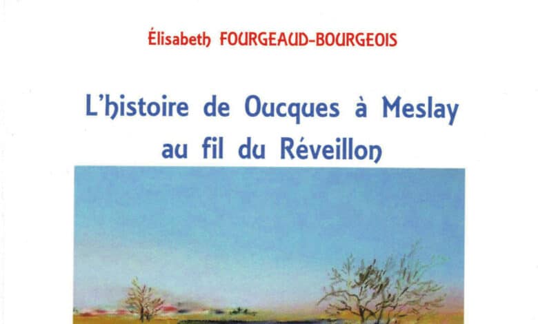 livre elisabeth fourgeaud histoire de oucques avant
