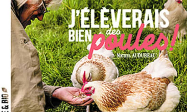 livre poules avant