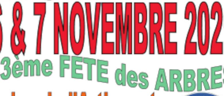 moree foire arbres 890x395 1