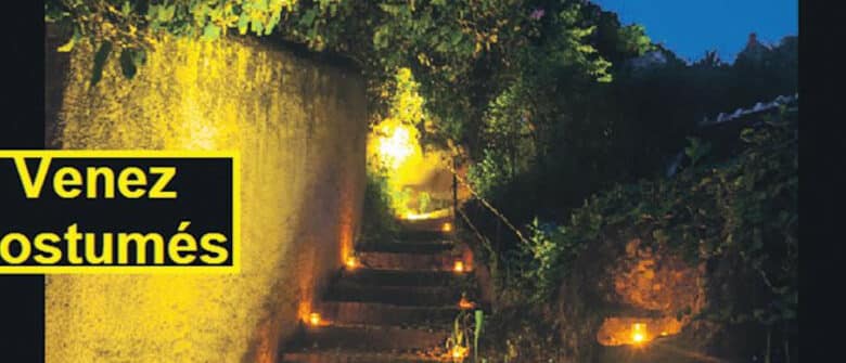 nuit des lumieres 890x395 1