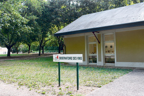 observatoire des vins photos batiment