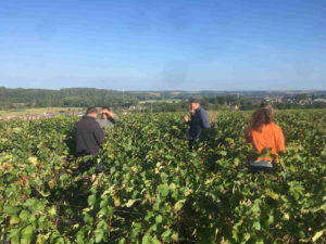 partage vignerons vignes vendomoises