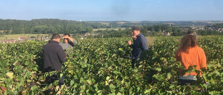 partage vignerons vignes vendomoises 890x395 1