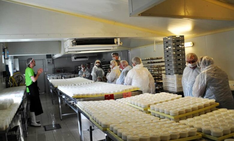 pelletier visite fromagerie avant