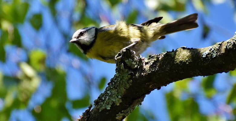 Perche Nature ; nature