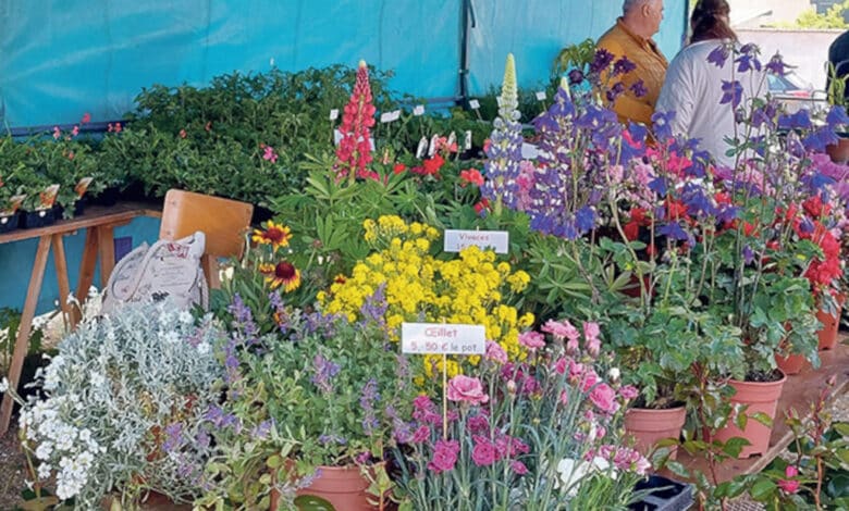 photo plantes villetrun avant