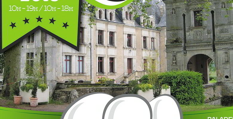 château de la Mézière