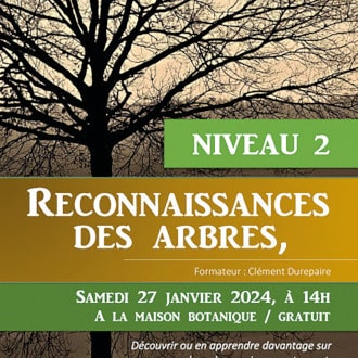 reconnaissance des arbres 1
