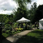 sasnieres fete plantes