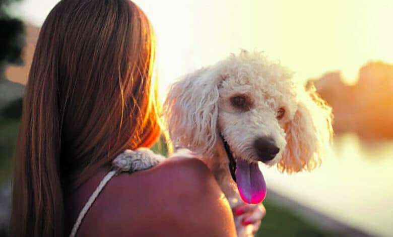 spa illustration avant