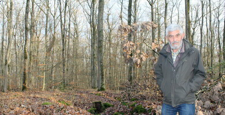 ste archeologique alain gauthier