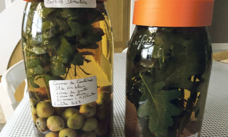 vin de cormier avant