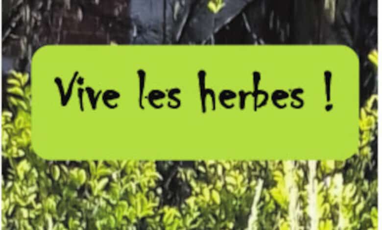 vive les herbes st firmin avril 22 avant